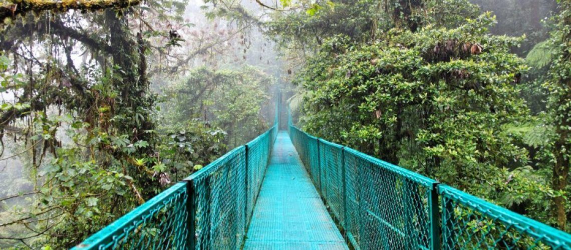 reserva_monteverde_lluvia